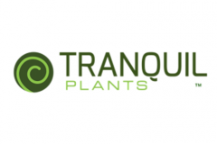 tranquil-plants